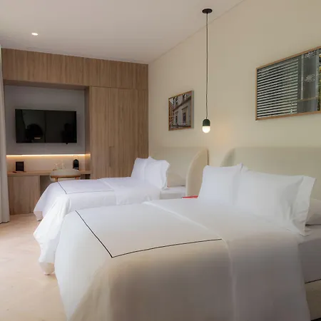 Casona Roma Norte-3
